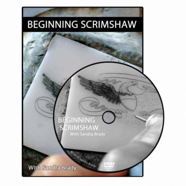 Beginning Scrimshaw - Sandra Brady